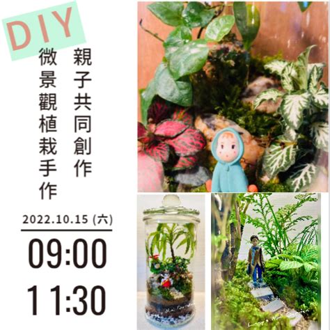 苔蘚澆水|手作｜桌上的自然角落 DIY苔蘚生態